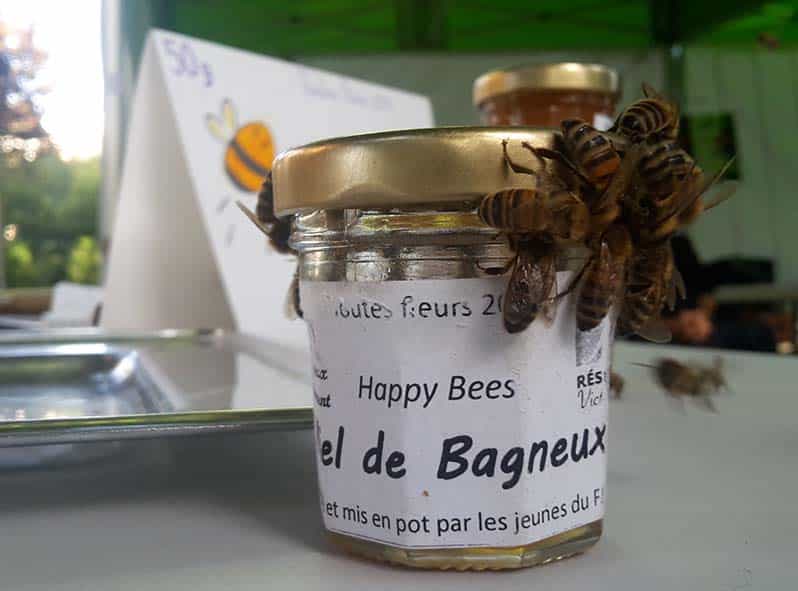 Bagneux Environnement apiculture