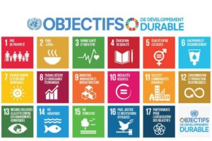Les Objectifs de Développement Durable des Nations Unis