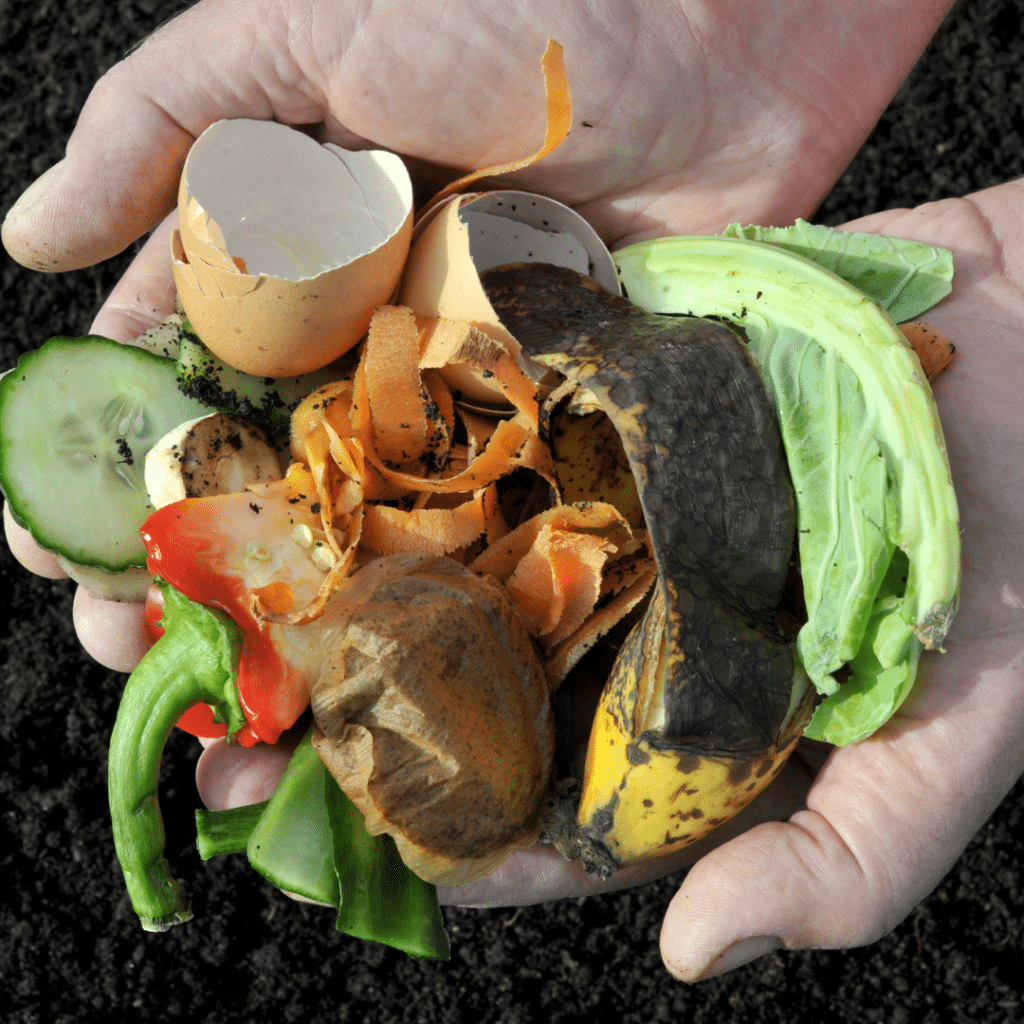 compost